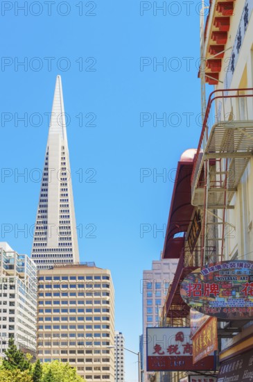 TransAmerica building seen from Chinatown, San Francisco, California, USA