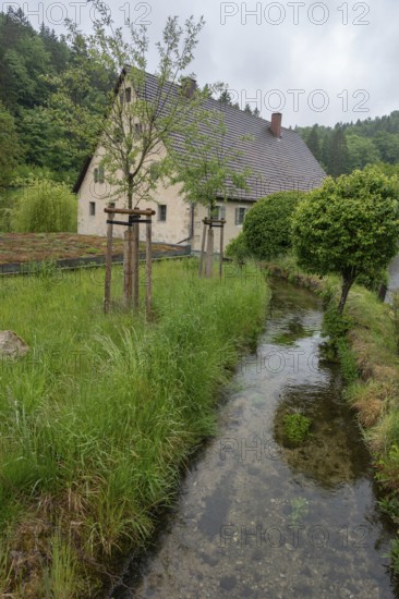 Former corn mill with mill stream, Großenohe, Upper Franconia, Bavaria, Germany