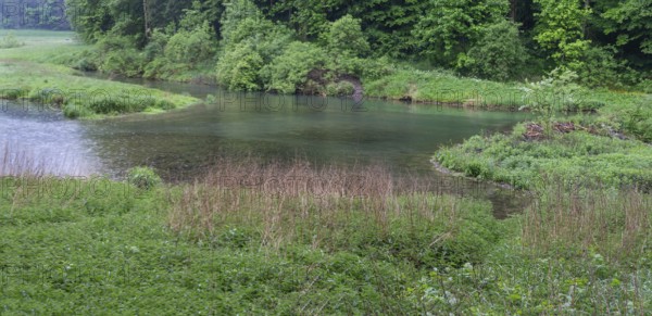 Artificial lake, stream dammed by beavers, Großenohe, Upper Franconia, Bavaria, Germany