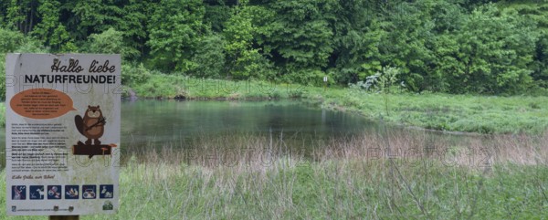Information board at a stream dammed by beavers, Großenohe, Upper Franconia, Bavaria, Germany
