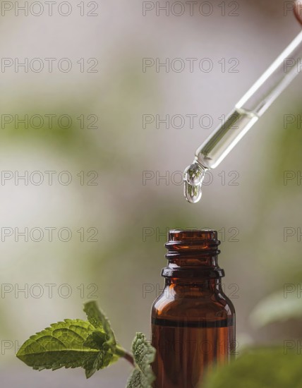 Bottle of mint oil on nature background, dropper isolated with copy space, AI generated