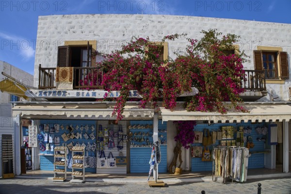 Pretty speciality shop with blooming decoration in a sunny street, souvenir shop, Skala, harbour, Patmos, Dodecanese, Greek Islands, Greece