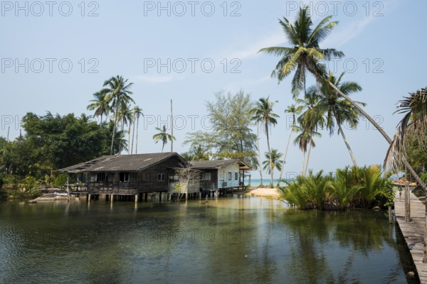Sandy beach beach with coconut palms, Haad Na Lay Beach, Koh Kood, Koh Kut, Gulf of Thailand, Thailand