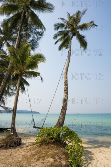 Sandy beach beach with coconut palms, Khlong Chao Beach, Koh Kood, Koh Kut, Gulf of Thailand, Thailand