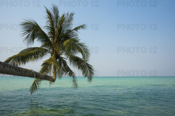 Sandy beach beach with coconut palms, Khlong Chao Beach, Koh Kood, Koh Kut, Gulf of Thailand, Thailand
