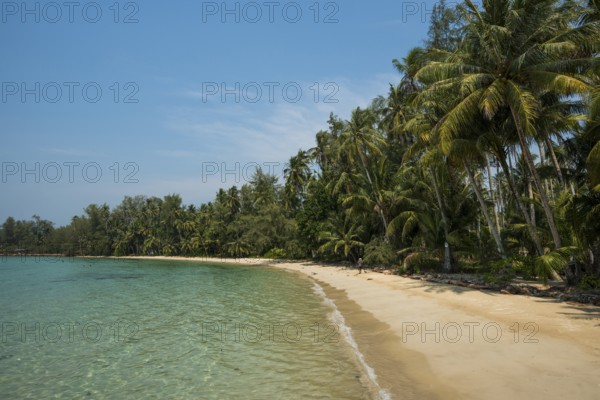 Sandy beach beach with coconut palms, Ngam Khor Beach, Koh Kood, Koh Kut, Gulf of Thailand, Thailand