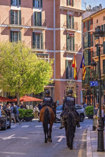 Horses with mounted police on a city street with people and cars, Palma de Mallorca, Mallorca, Spain