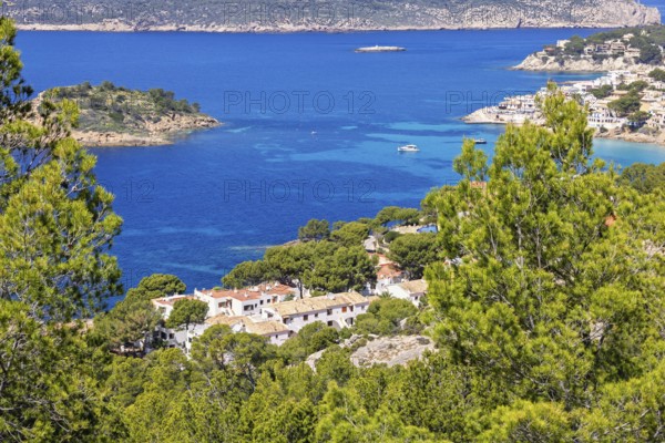 Aerial view at a village by the Mediterranean Sea at a rocky coastline and lush green trees a sunny summer day, Sant Elm, Mallorca, Spain