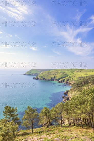 Scenics view at a rocky coastline with pine trees and blue water in the bay with a seascape view to the horizon, Crozon peninsula, Bretagne, France
