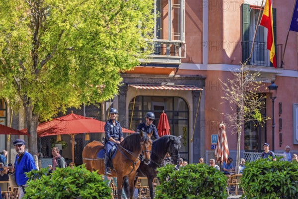 Horses with mounted police in a city square with people and houses with restaurants, Palma de Mallorca, Mallorca, Spain