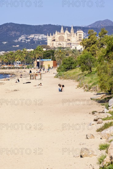 Sand beach with sunbathing people at Palma beach with the famous Palma Cathedral in the backgrounds a sunny summer day, Palma de Mallorca, Mallorca, Spain