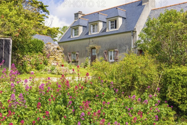 Old house with flowering garden flowers on the french countryside a summer day, Crozon peninsula, Bretagne, France