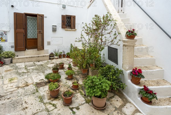 Courtyard with flowerpots, Locorotondo, Apulia - Puglia, Italy