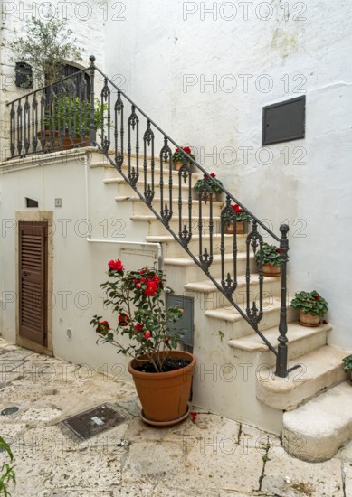 Staircase and flowerpots, Locorotondo, Apulia - Puglia, Italy