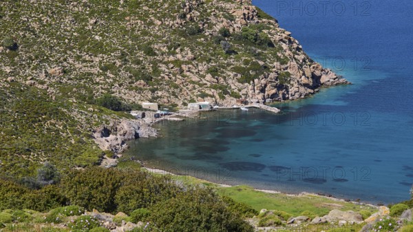 Small harbour bay with crystal clear water surrounded by rocky landscape and lots of greenery, fishermen's huts, Agios Nikolaos Bay, Patmos, Dodecanese, Greek Islands, Greece