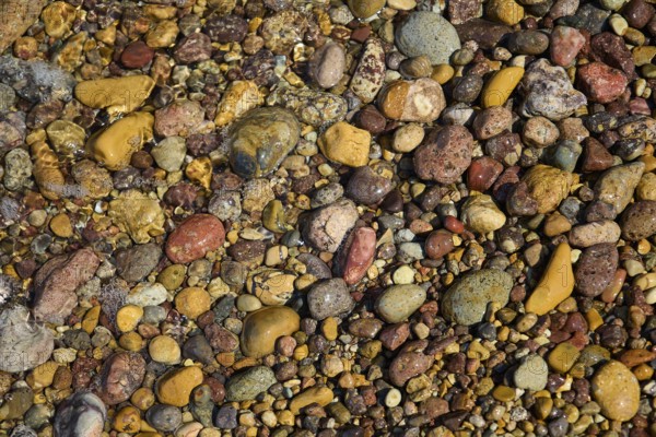 Variety of colourful pebbles covered by shallow water, Lambi Beach, Lambi Bay, Patmos, Dodecanese, Greek Islands, Greece