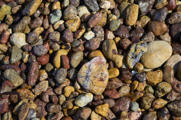 Various colourful pebbles with a smooth surface lying close together, Lambi Beach, Lambi Bay, Patmos, Dodecanese, Greek Islands, Greece