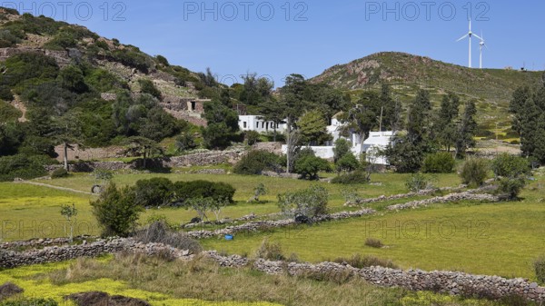 Rural area with stone walls and windmill on a grassy ridge, limoni Kalogiron monastery, Livadi Kalogiron, Patmos, Dodecanese, Greek Islands, Greece