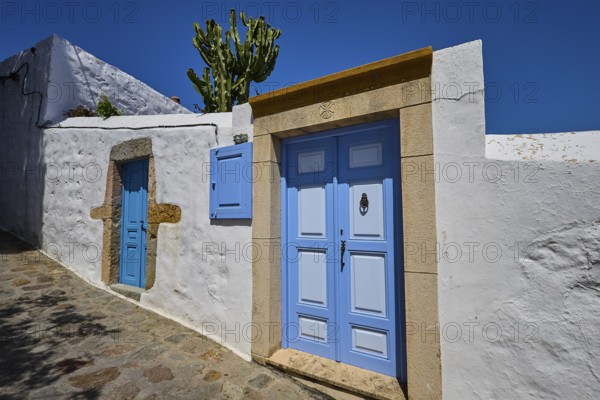 Residential houses with blue doors and cactus in the front garden, traditional Mediterranean design, Chora, UNESCO World Heritage Site 1999, Patmos, Dodecanese, Greek Islands, Greece