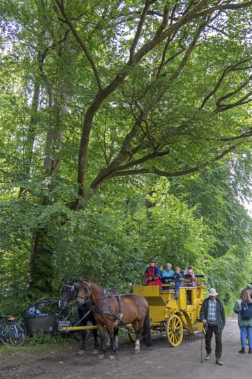 Postillion, passengers, stagecoach, Verein Postkutsche Lüneburger Heide e.V., Klecken, Rosengarten, Lower Saxony, Germany