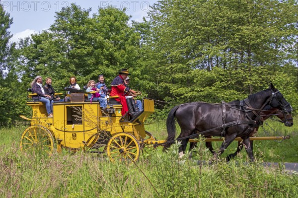 Postillion, passengers, stagecoach travelling through meadows, Verein Postkutsche Lüneburger Heide e.V., Klecken, Rosengarten, Lower Saxony, Germany