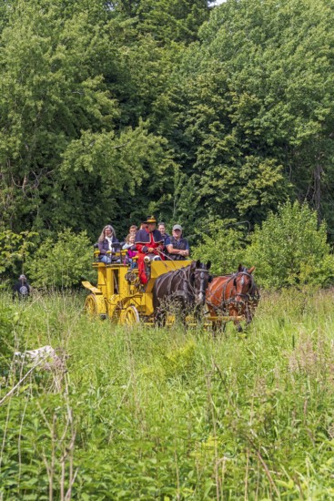 Postillion, passengers, stagecoach travelling through meadows, Verein Postkutsche Lüneburger Heide e.V., Klecken, Rosengarten, Lower Saxony, Germany