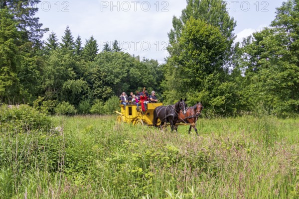 Postillion blowing horn, passengers, stagecoach travelling through meadows, Verein Postkutsche Lüneburger Heide e.V., Klecken, Rosengarten, Lower Saxony, Germany