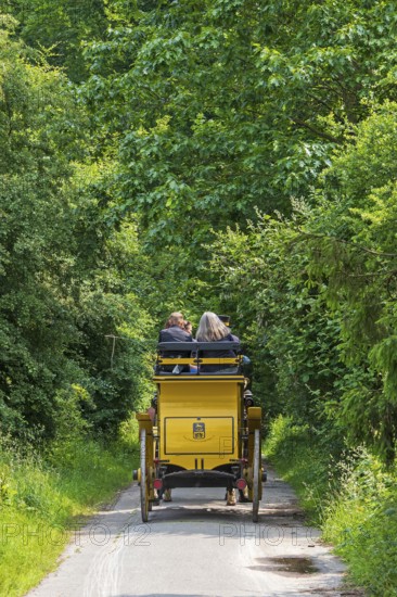 Passengers, stagecoach, forest path, Verein Postkutsche Lüneburger Heide e.V., Klecken, Rosengarten, Lower Saxony, Germany