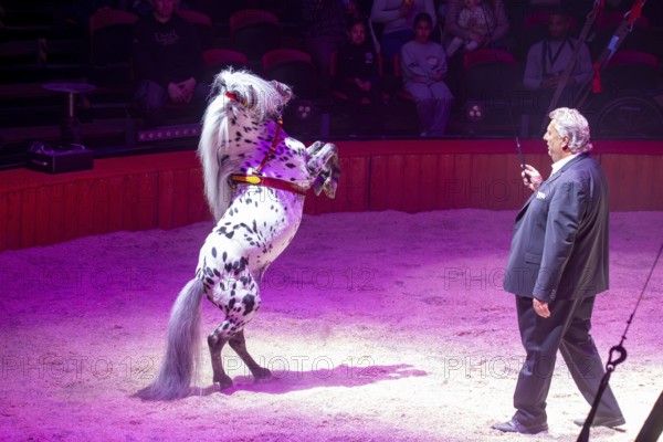 Performance of the Circus Barelli in Mannheim***Picture: Harry Barelli