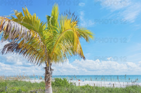 Beach, Sanibel Island, Florida, USA