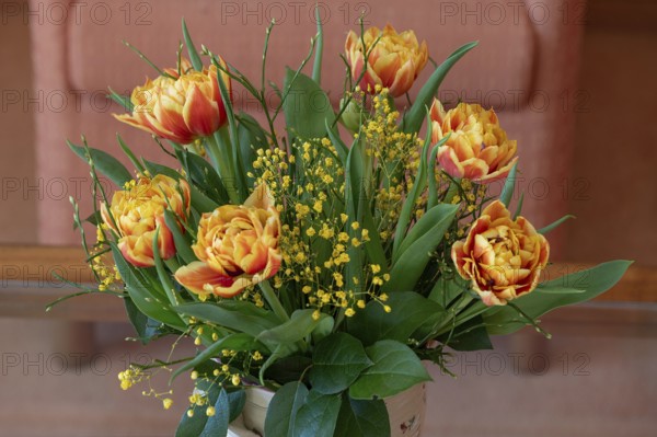Bouquet of flowers, tulips (Tulipa) and mimosa (Mimosa pudica) in a vase, Bavaria, Germany