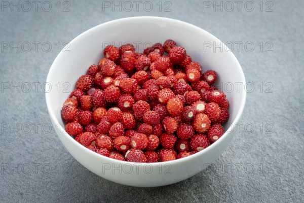 Abgeerntete Wald-Erdbeeren (Fragaria vesca), zum Verzehr in einer Schale, Nahaufnahme, Baden-Württemberg, Deutschland