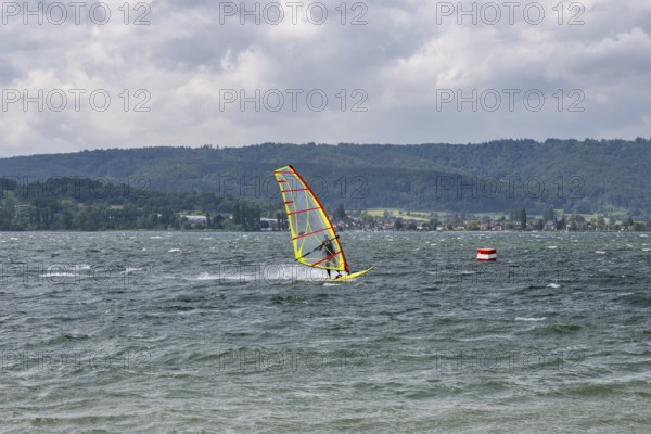Windsurfen auf dem Bodensee, Radolfzell am Bodensee, Landkreis Konstanz, Baden-Württemberg, Deutschland
