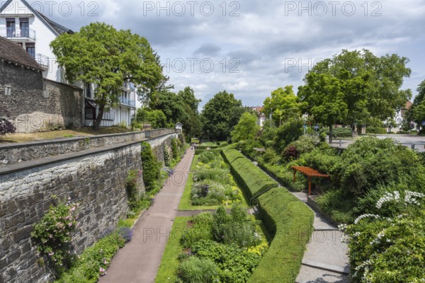 Der Stadtgarten im ehemaligen Wehrgraben der historischen Altstadt von Radolfzell am Bodensee, Landkreis Konstanz, Baden-Württemberg, Deutschland