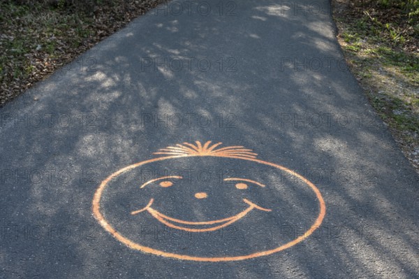 Painted smiley on the hiking trail to the Ochsenkopf, Bavaria, Germany