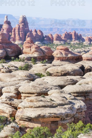 Sandstone pinnacles, Chesler Park, The Needles district, Canyonlands National Park, Utah, USA