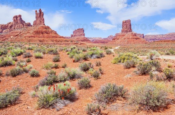 Valley of the Gods, Utah, USA