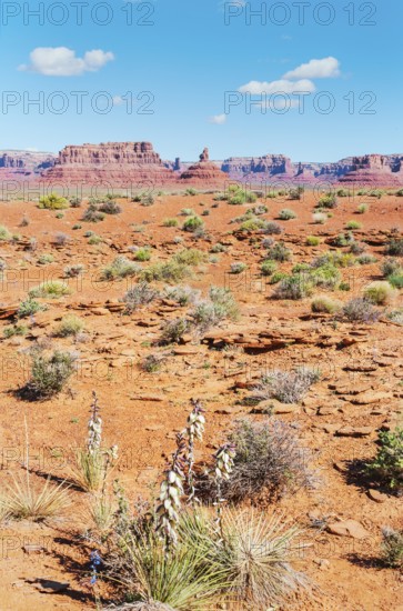 Valley of the Gods, Utah, USA