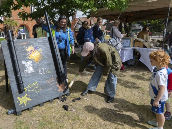 Splat the rat game at village summer fete, Bawdsey, Suffolk, England, UK