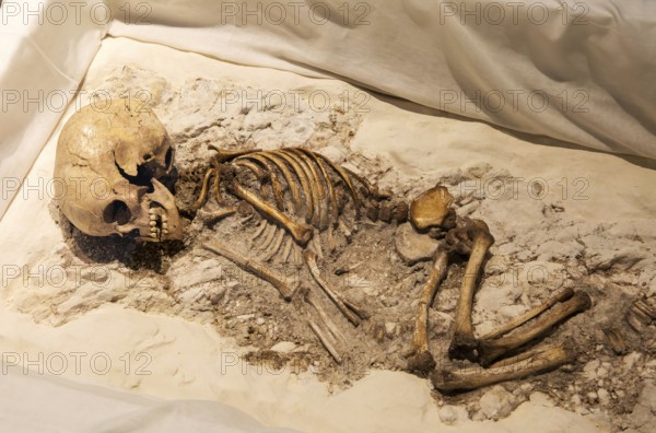 Neolithic archaeology exhibition inside Alexander Keiller Museum, Avebury, Wiltshire, England, UK - skeleton of a child