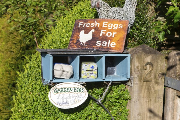 Fresh Eggs for sale at garden gate honesty box payment, Pewsey, Wiltshire, England, UK