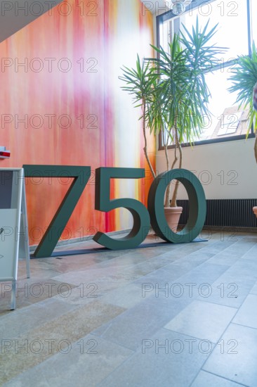 Large number 750 as decoration in front of a colourful wall with bright plants, family party in Neubulach, district of Calw, Germany