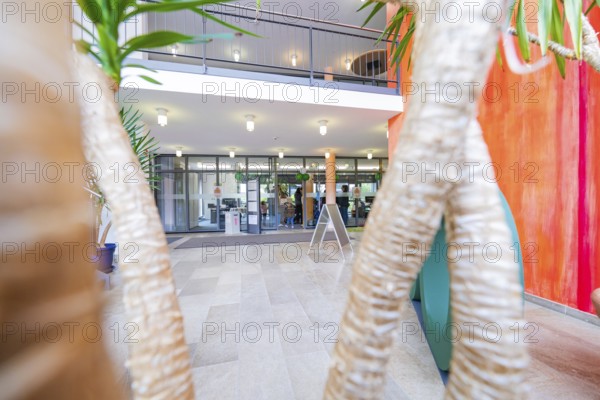 Modern entrance area with glass front, plants and colourful walls in a building, town hall, family party in Neubulach, district of Calw, Germany