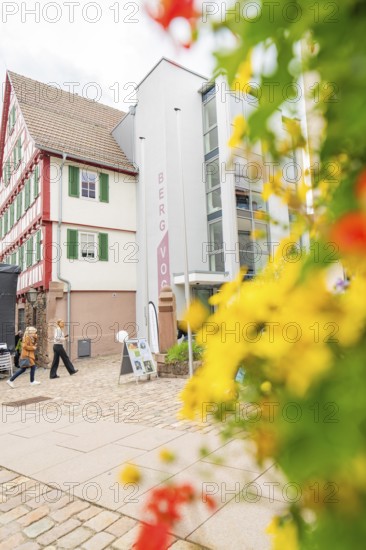 Modern and traditional architecture side by side, colourful flowers in the foreground, family party in Neubulach, district of Calw, Germany