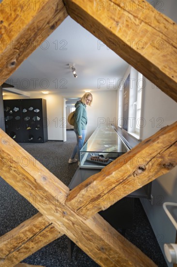 Woman looking at a display case in a modern showroom with wooden accents, family party in Neubulach, district of Calw, Germany