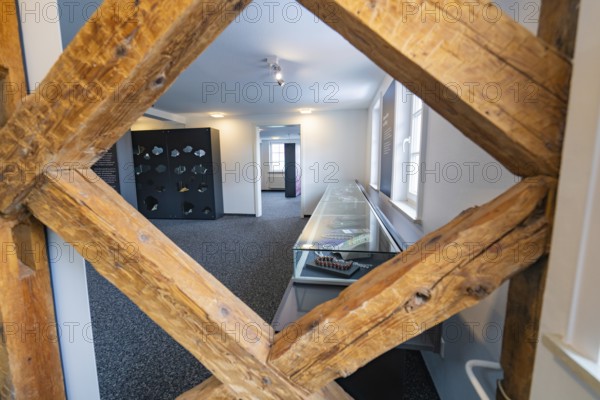 Modern showroom with glass cabinets and wooden accents without people, family party in Neubulach, district of Calw, Germany