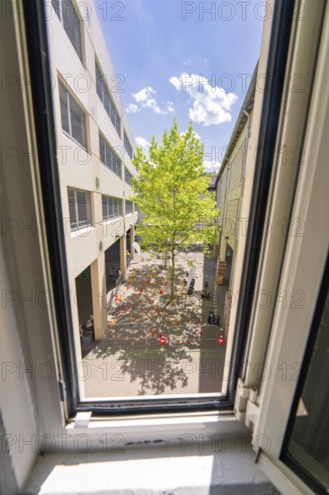 View from a window onto a courtyard with a tree, surrounded by buildings under a blue sky, Calw railway station festival, Black Forest, Germany