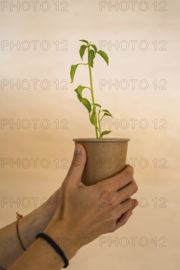 Hands gently holding a biodegradable cup containing a small, vibrant plant, symbolizing environmental consciousness and sustainable practices