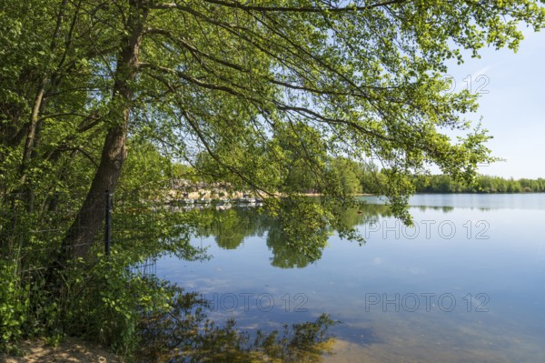 Lippesee, reservoir, tree in the foreground, Sande, Paderborn, Westphalia, North Rhine-Westphalia, Germany