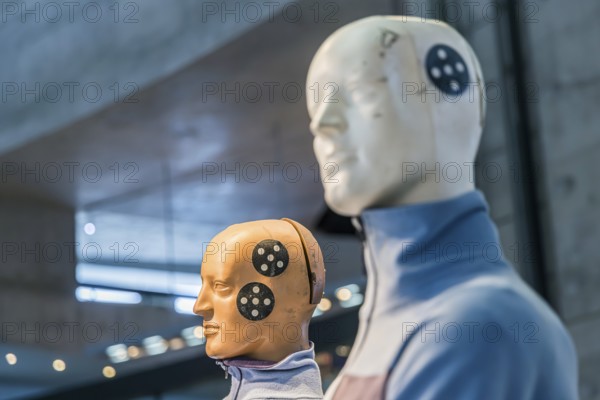Department Myth 5. masterminds - safety and environment. Safety research with crash test dummy. The Mercedes-Benz Museum in Stuttgart presents a journey through the automotive history of the global corporation. The history of the Mercedes star begins with the first automobile in 1886. Stuttgart, Baden-Württemberg, Germany